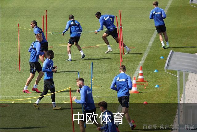 中欧体育公司简介图